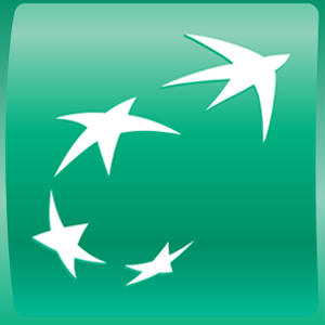 TEB PORTFÖY GÜMÜŞ FON SEPETİ FONU